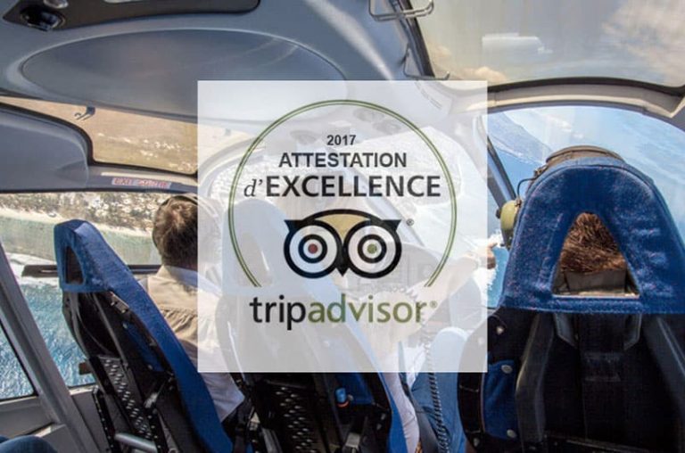 attestation excellence tripadvisor activité reunion